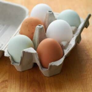 negative space half dozen fresh eggs 469x708 1