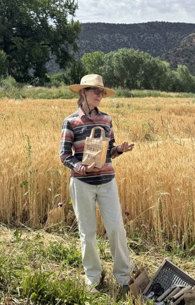 puebloseed scaled e1754870348253