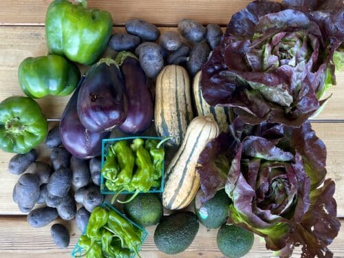 Shishito Peppers, Morbier, Appenzeller Black Label, Askinosie Dark Chocolate + Orange, & Limestone Rosemary